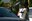 image-800-b998e3b568b8a66cfe701cea35d2e3f4.jpeg