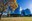 teaser.jpeg