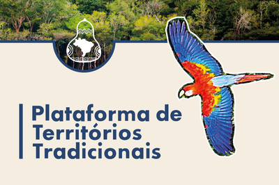Plataforma de Territórios Tradicionais. Banner com fundo claro exibindo o texto do título em azul, uma arara-candeia colorida voando à direita, o logotipo com o mapa do Brasil dentro de uma moringa no topo e uma foto de floresta ao fundo.